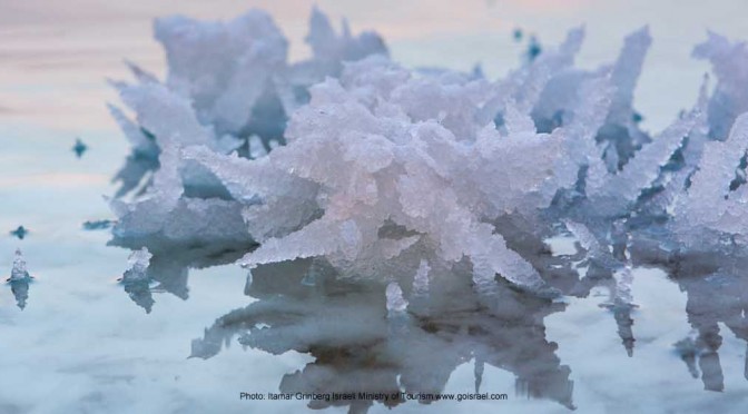 Fascinating Dead Sea salt formations
